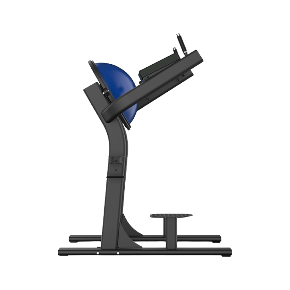 Thiết bị tập chân Leg Raise Shua SH-G6386